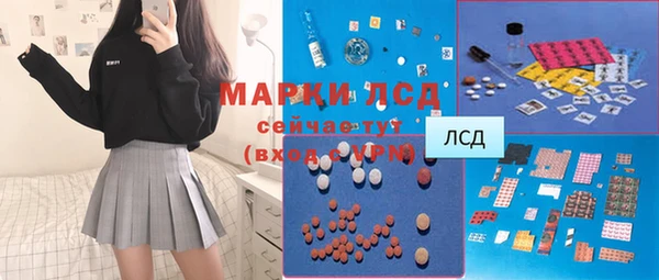 стаф Аркадак