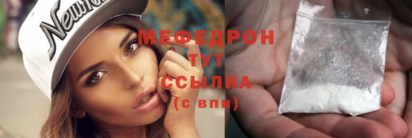 стаф Аркадак