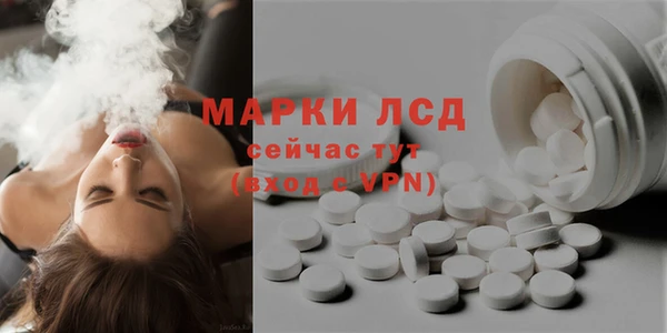 стаф Аркадак