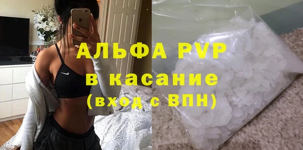 стаф Аркадак