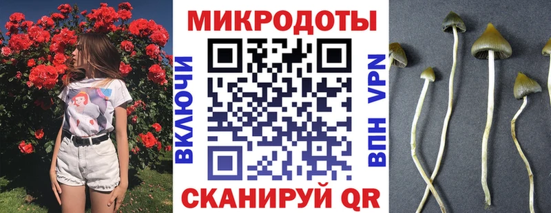 Псилоцибиновые грибы мицелий  Светлоград 